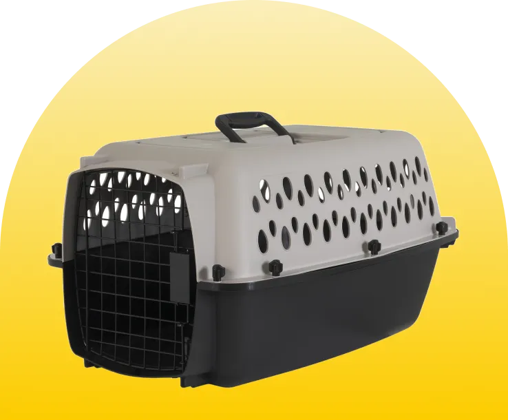 اليف category decoration