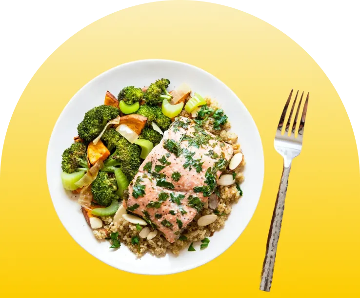 مطاعم category decoration