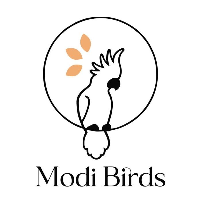 مودي للحيوانات الاليفة logo